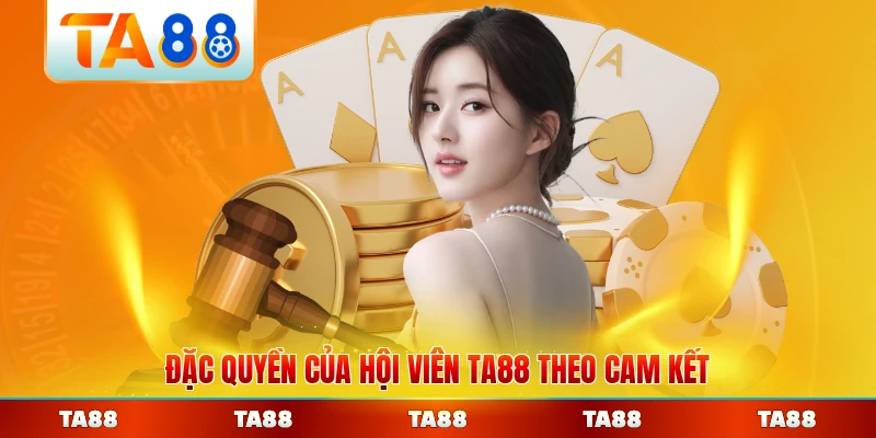 Đặc quyền của hội viên TA88 theo cam kết bảo mật toàn diện